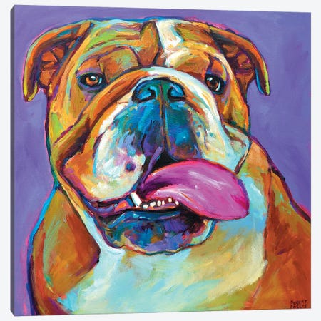 Bulldog Canvas Print #RPH14} by Robert Phelps Canvas Wall Art