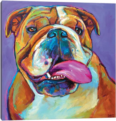 Bulldog Canvas Art Print - Robert Phelps