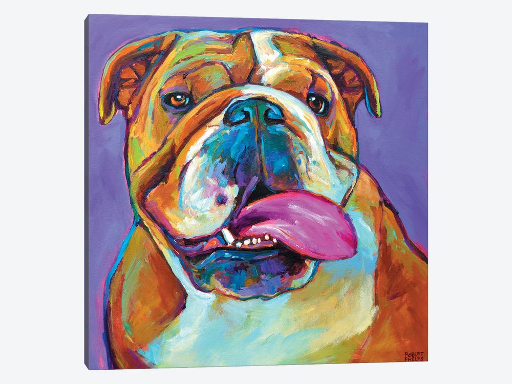 Bulldog by Robert Phelps 1-piece Art Print