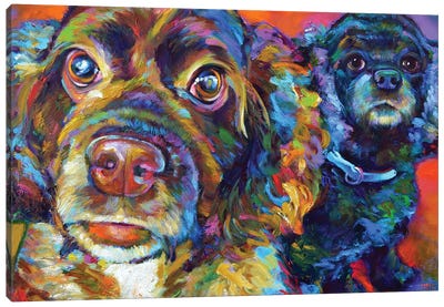 Spaniel Brothers Canvas Art Print - All Things Matisse