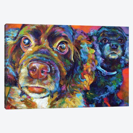 Spaniel Brothers Canvas Print #RPH150} by Robert Phelps Canvas Art