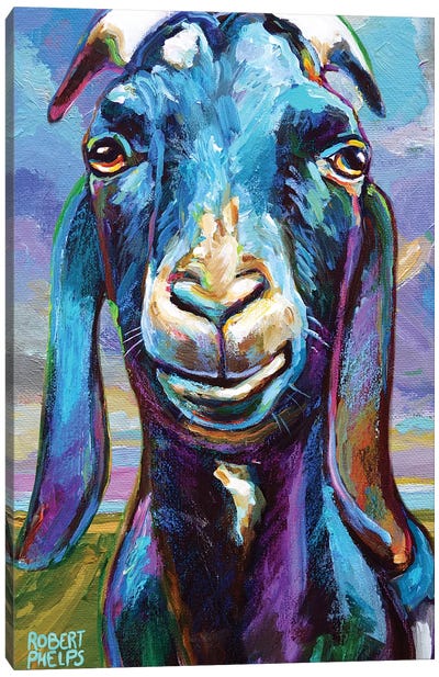 Lucian At Dawn Canvas Art Print - Goat Art