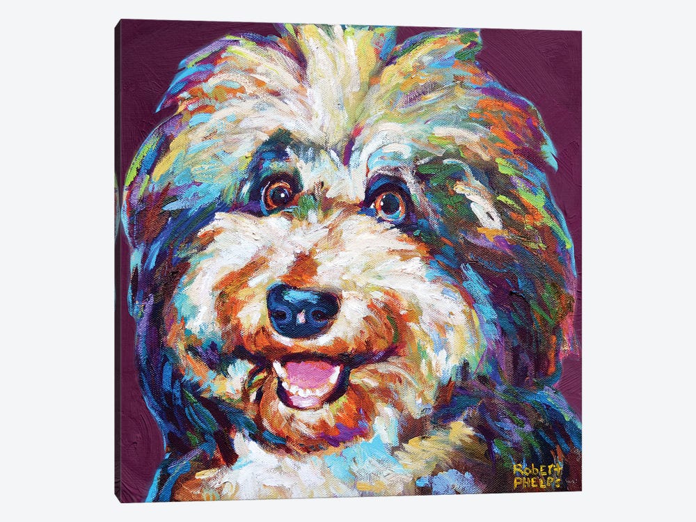 Ms Aussiedoodle On Violet by Robert Phelps 1-piece Canvas Artwork