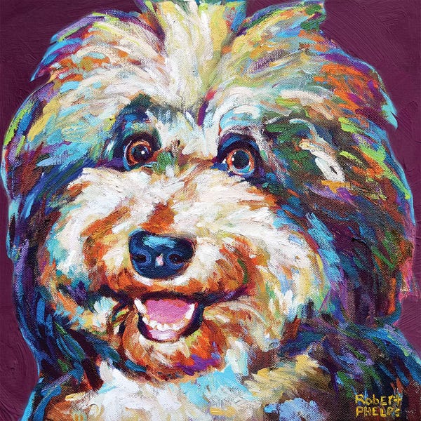 Robert Phelps: Ms Aussiedoodle On Violet by Robert Phelps