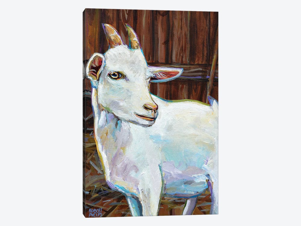 White Goat In Barn by Robert Phelps 1-piece Canvas Wall Art