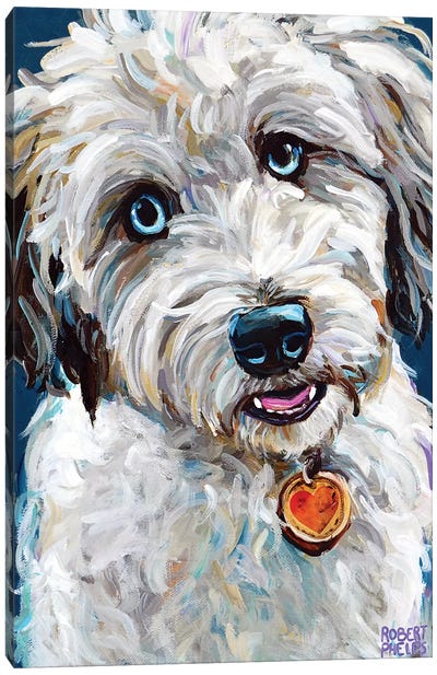 Aussiedoodle With Blue Eyes Canvas Art Print - Australian Shepherd Art