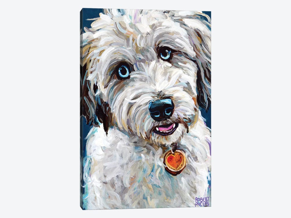 Aussiedoodle With Blue Eyes by Robert Phelps 1-piece Canvas Print