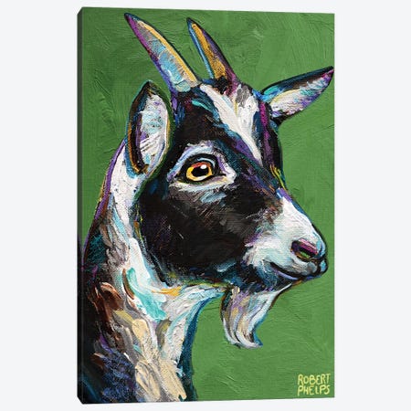 Baby Goat On Green Canvas Print #RPH167} by Robert Phelps Canvas Wall Art