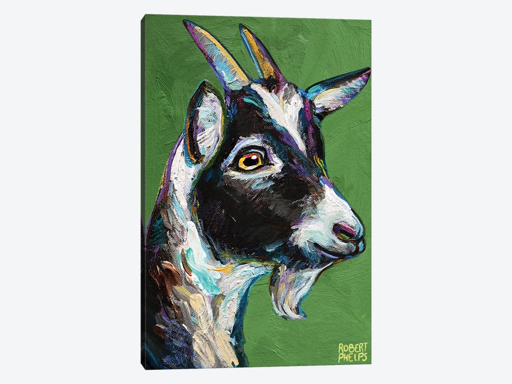 Baby Goat On Green by Robert Phelps 1-piece Canvas Art