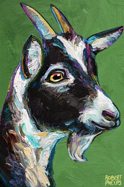 Goats: Baby Goat On Green by Robert Phelps