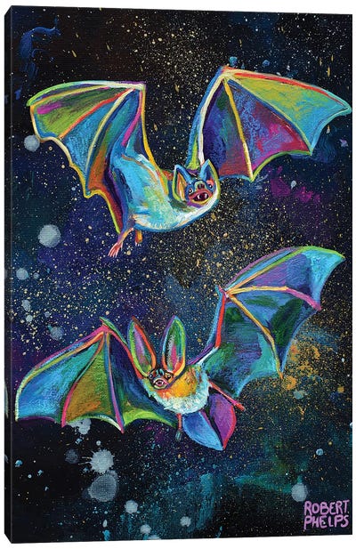 Bats And Night Sky Canvas Art Print - Robert Phelps