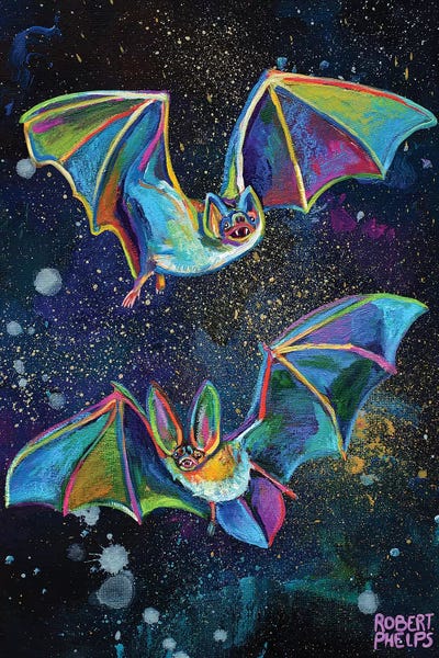 Robert Phelps: Bats And Night Sky by Robert Phelps