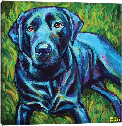 Black Lab On The Grass Canvas Art Print - Labrador Retriever Art