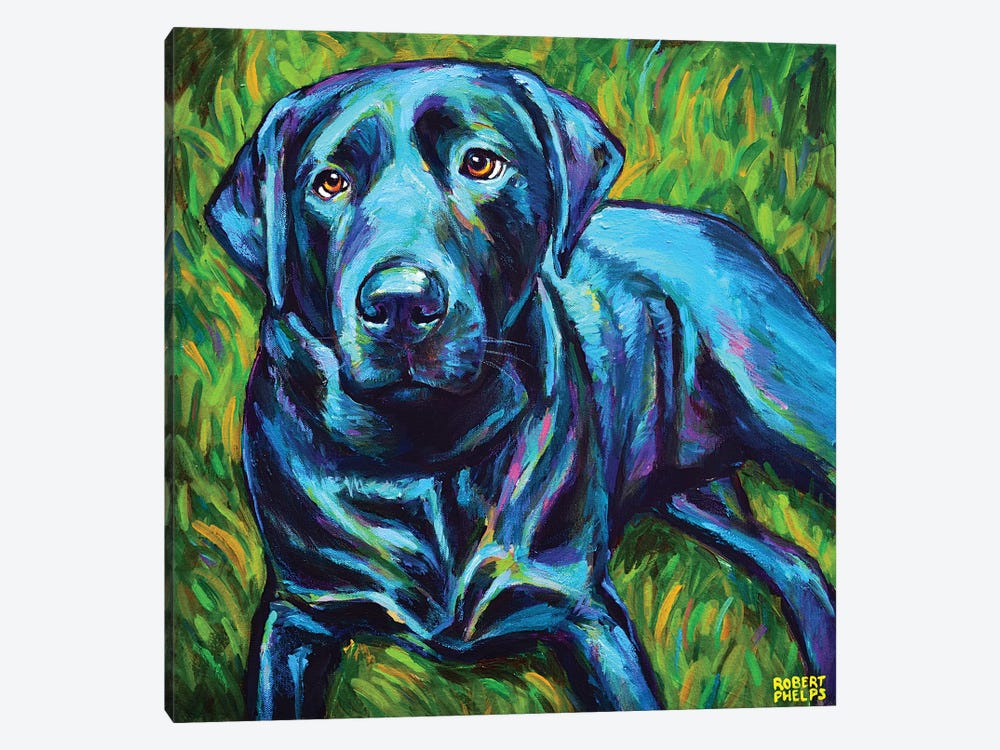 Black Lab On The Grass by Robert Phelps 1-piece Canvas Art