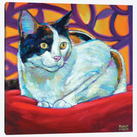 Calico Canvas Print #RPH16} by Robert Phelps Canvas Wall Art