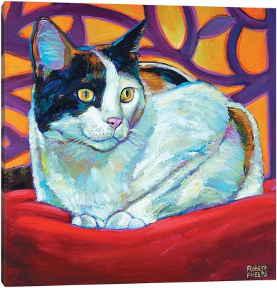 Calico Canvas Art Print - Calico Cat Art