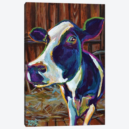 Buttercup In A Barn Canvas Print #RPH170} by Robert Phelps Canvas Artwork