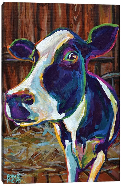 Buttercup In A Barn Canvas Art Print - Robert Phelps