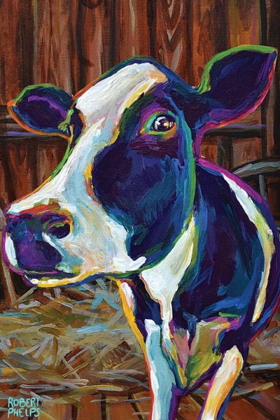 Robert Phelps: Buttercup In A Barn by Robert Phelps
