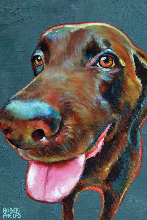 Chocolate Labrador On Blue