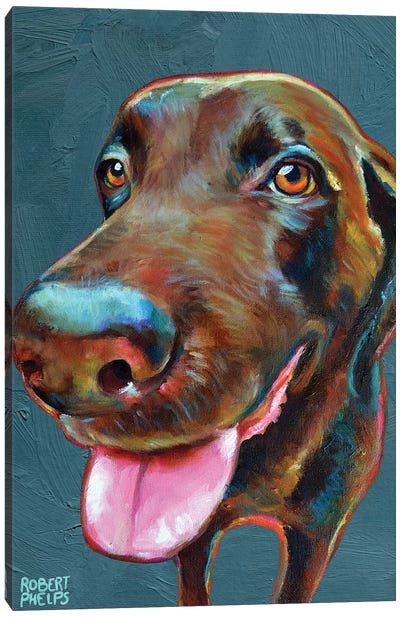 Chocolate Labrador On Blue Canvas Art Print - Robert Phelps