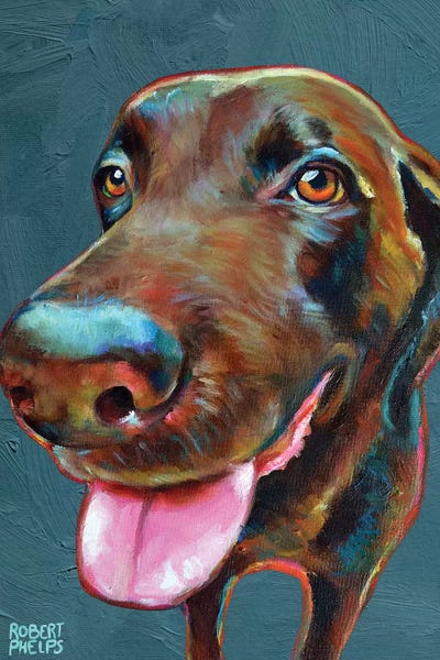 Robert Phelps: Chocolate Labrador On Blue by Robert Phelps