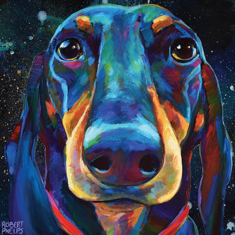 Dachshund In Space by Robert Phelps wall art