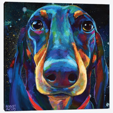 Dachshund In Space Canvas Print #RPH172} by Robert Phelps Canvas Art