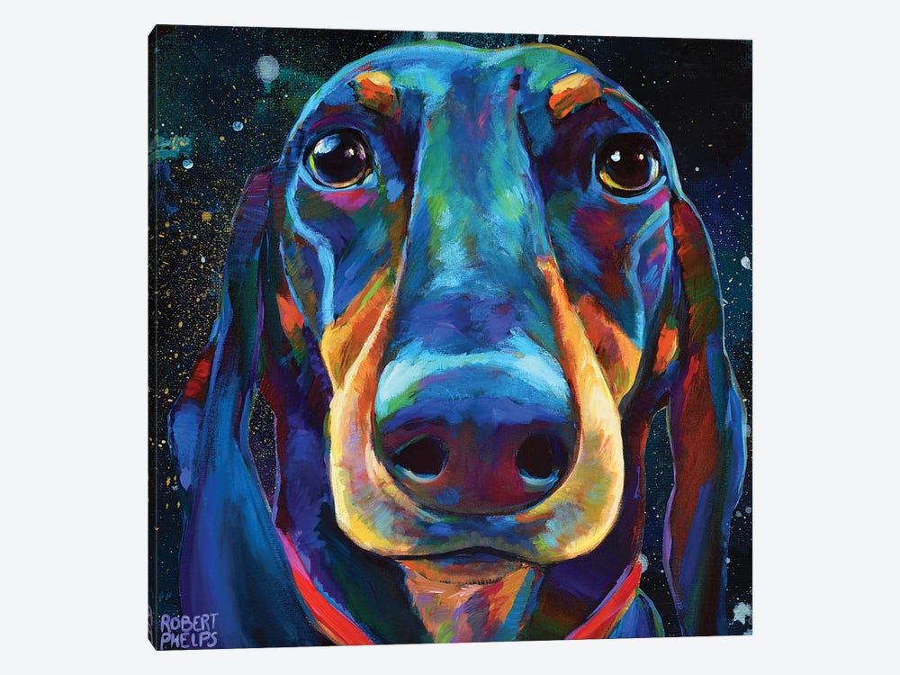Dachshund In Space by Robert Phelps 1-piece Canvas Art