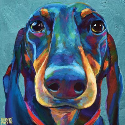 Dachshund On Blue by Robert Phelps metal wall art
