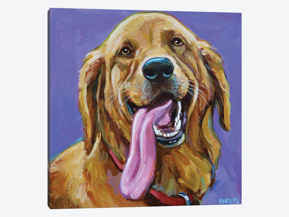 Golden Retriever With Big Tongue by Robert Phelps 1-piece Canvas Art