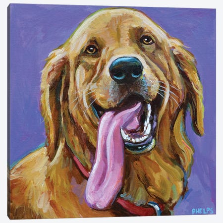 Golden Retriever With Big Tongue Canvas Print #RPH176} by Robert Phelps Canvas Print