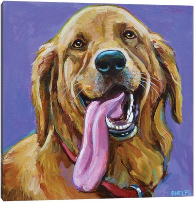 Golden Retriever With Big Tongue Canvas Art Print - Golden Retriever Art