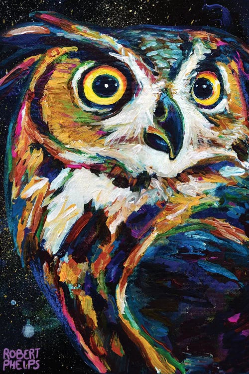 Night Owl by Robert Phelps wall art