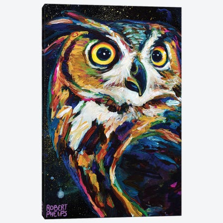 Night Owl Canvas Print #RPH177} by Robert Phelps Canvas Art Print