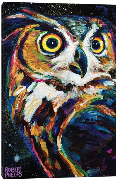 Night Owl Canvas Art Print - Robert Phelps