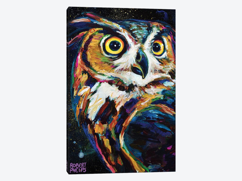 Night Owl by Robert Phelps 1-piece Art Print