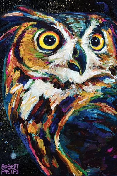 Robert Phelps: Night Owl by Robert Phelps