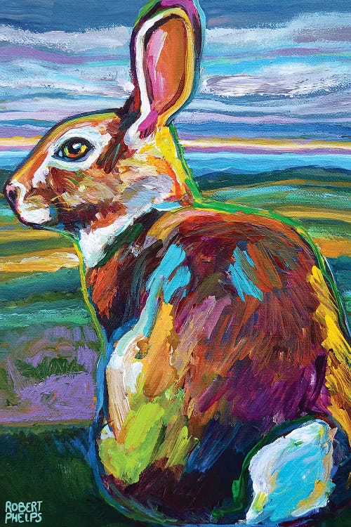 Mountain Rabbit At Dawn