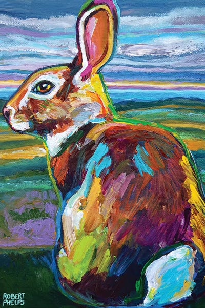 Rabbits: Mountain Rabbit At Dawn by Robert Phelps