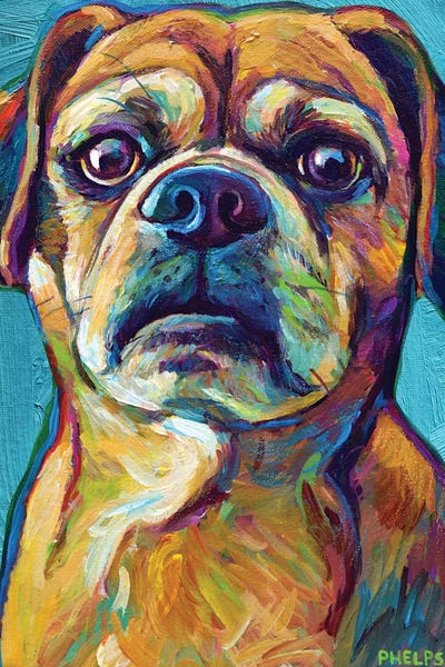 Puggle On Blue by Robert Phelps metal wall art