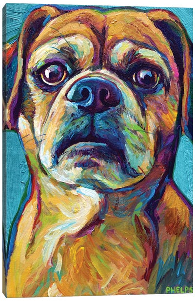 Puggle On Blue Canvas Art Print - Pug Art