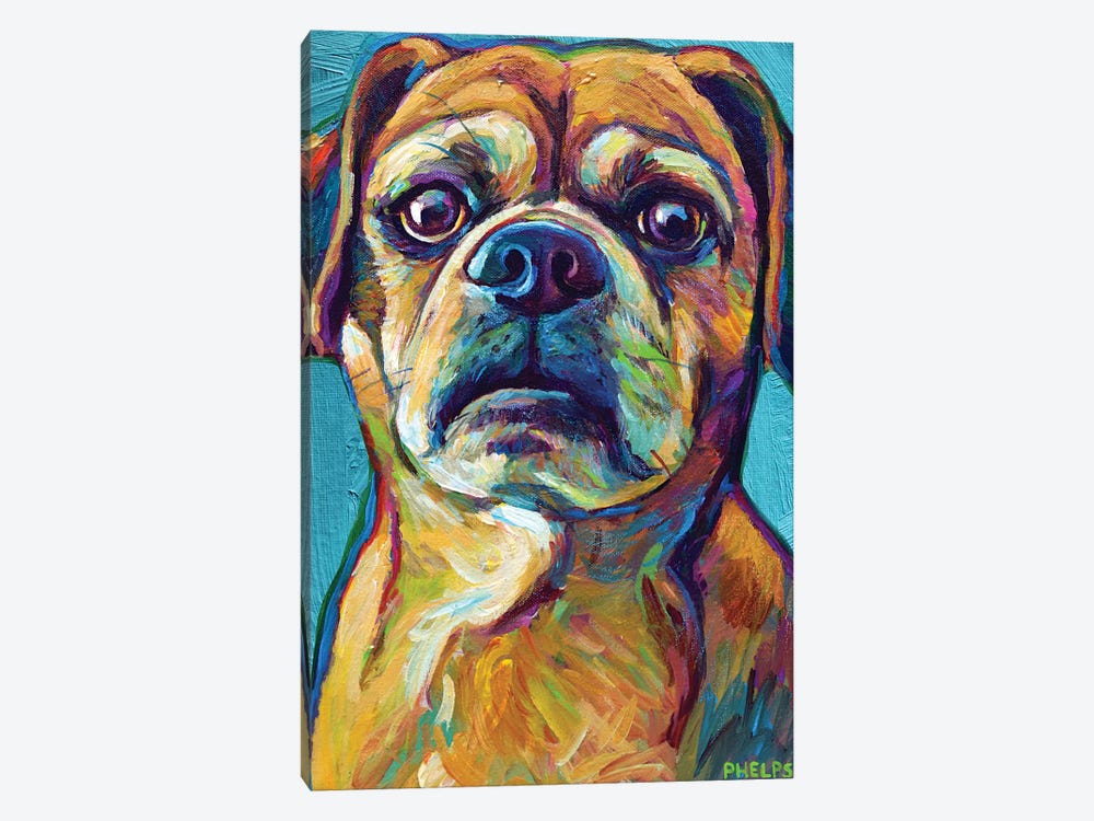 Puggle On Blue by Robert Phelps 1-piece Canvas Print