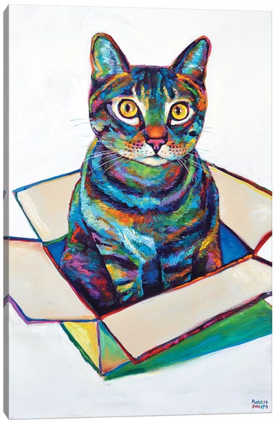 Cat In Box Canvas Art Print - Tabby Cat Art