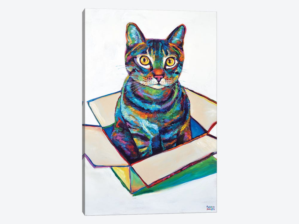 Cat In Box by Robert Phelps 1-piece Canvas Wall Art