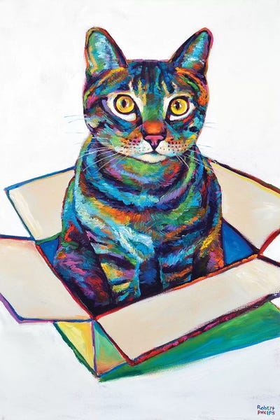 Tabbies: Cat In Box by Robert Phelps