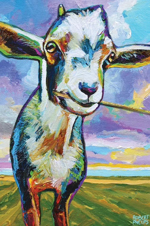 Theo The Goat In The Field by Robert Phelps wall art