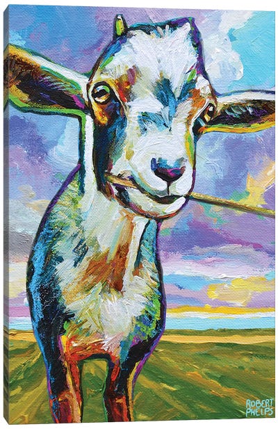 Theo The Goat In The Field Canvas Art Print - Robert Phelps