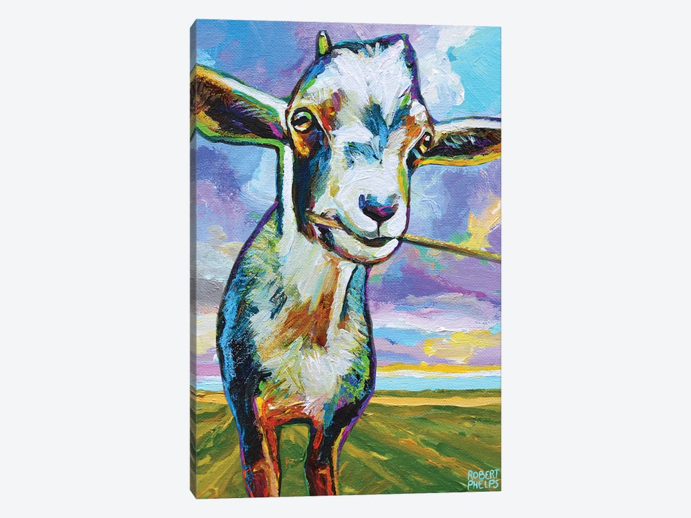 Theo The Goat In The Field by Robert Phelps 1-piece Art Print