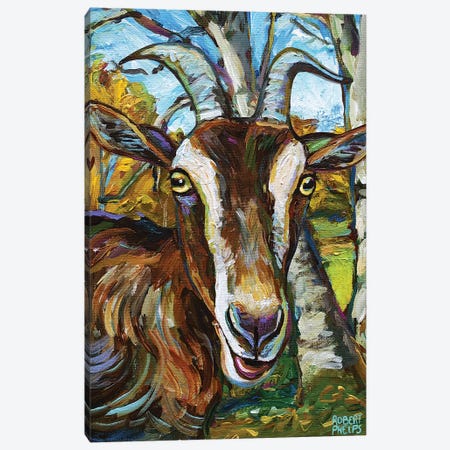 Toggenburg Goat And Trees Canvas Print #RPH183} by Robert Phelps Canvas Print